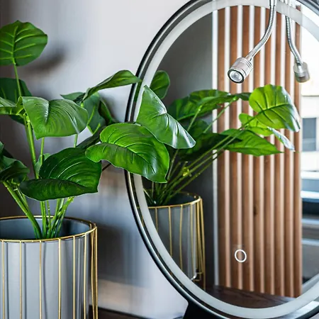 Gogh - Billberry 格丁尼亚