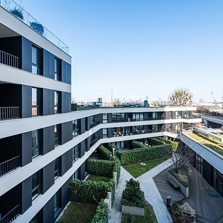 Gogh - Billberry * Gdynia