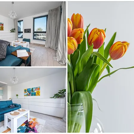 Gogh - Billberry 格丁尼亚