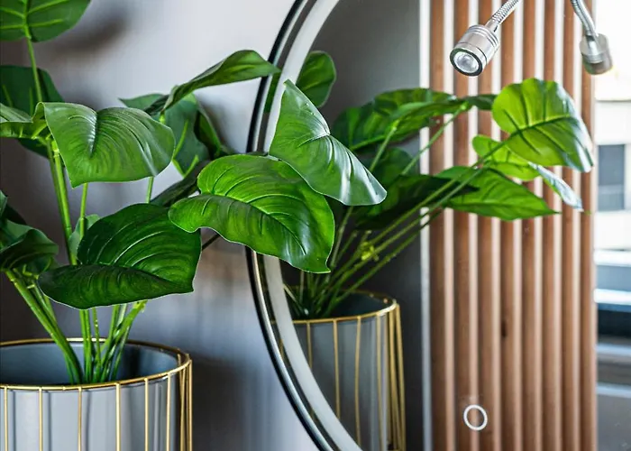 Gogh - Billberry Gdynia