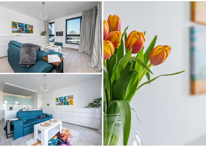 Gogh - Billberry Gdynia